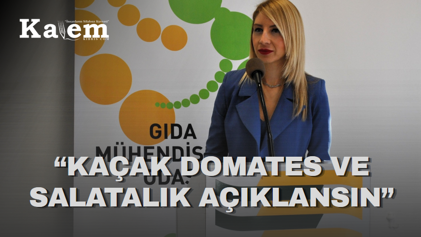 Gıda Mühendisleri Odası kaçak dometes ve salatalık konusunda açıklama yapılmasını istedi