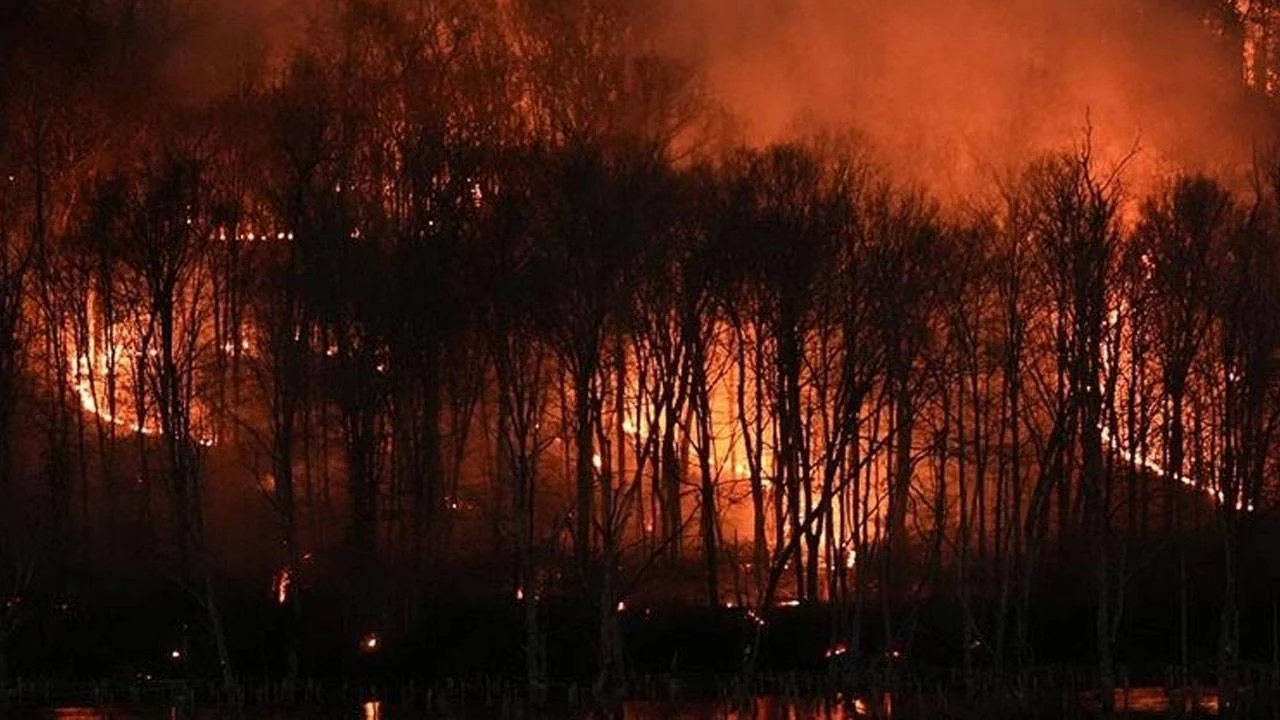 Sırbistan’da 45 orman yangınına müdahale sürüyor