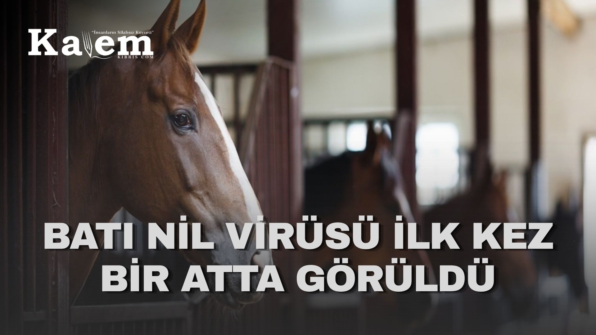 Kıbrıs’ın güneyinde Batı Nil alarmı