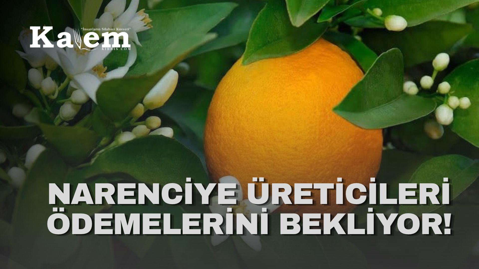 Narenciye Üreticileri Birliği Derneği hala ürün ödemelerinin yapılmadığına işaret etti